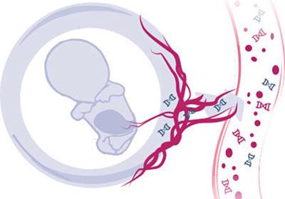 Test diagnosi prenatale non invasivo (NIPT) Alatri Frosinone Roma